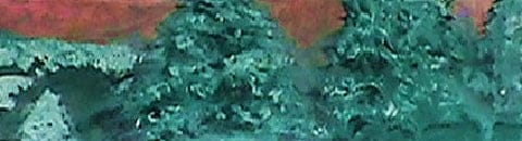 "Frosty Pines" Original Miniature Painting - Art by Don Paone and Friends